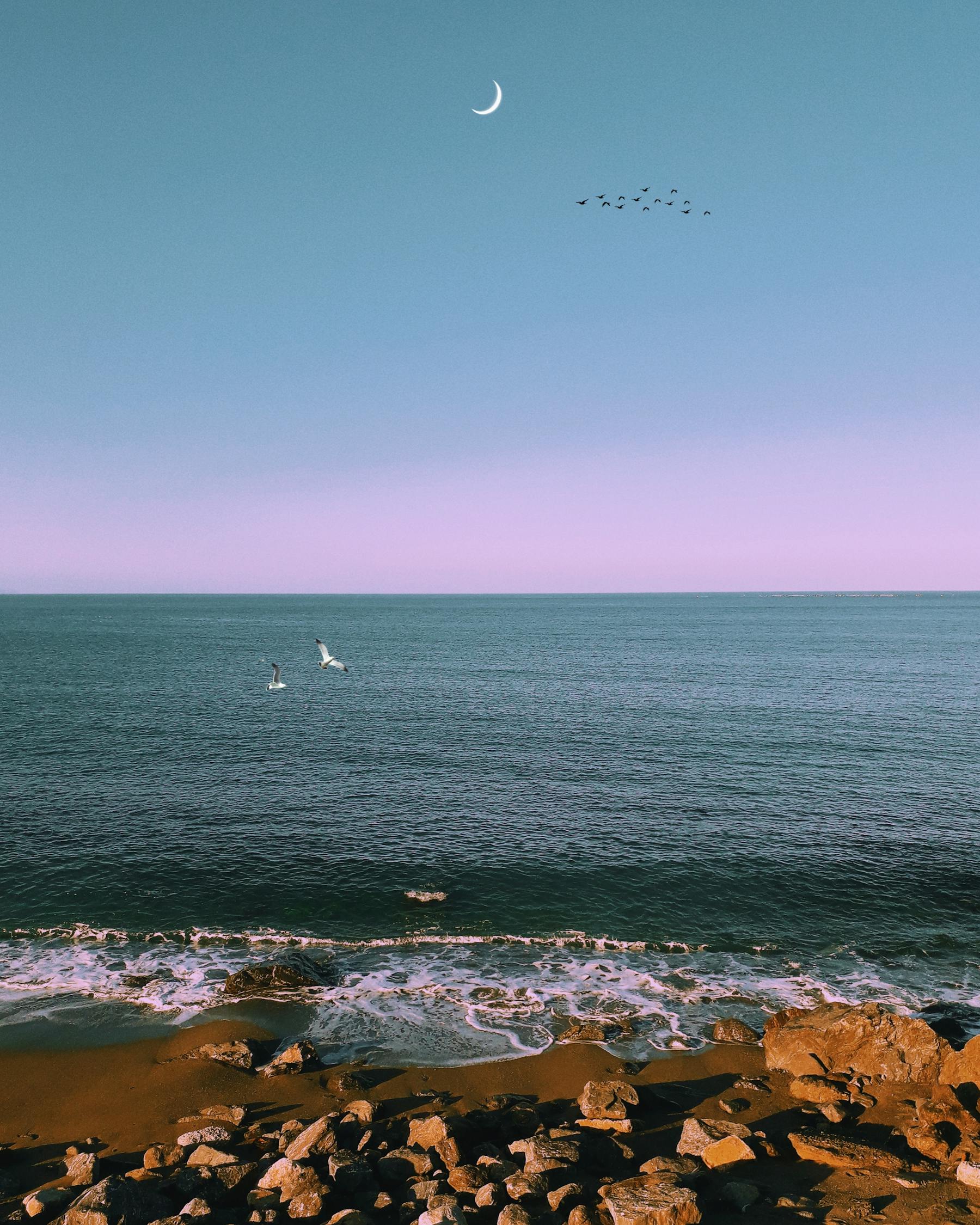 皎娘新動態(tài)，時代風(fēng)尚的璀璨明珠引領(lǐng)者