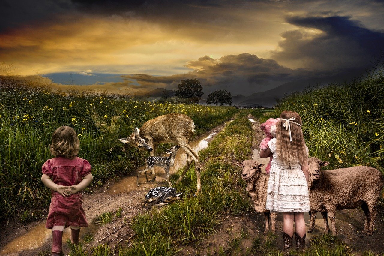 孤獨儛埗 第8頁