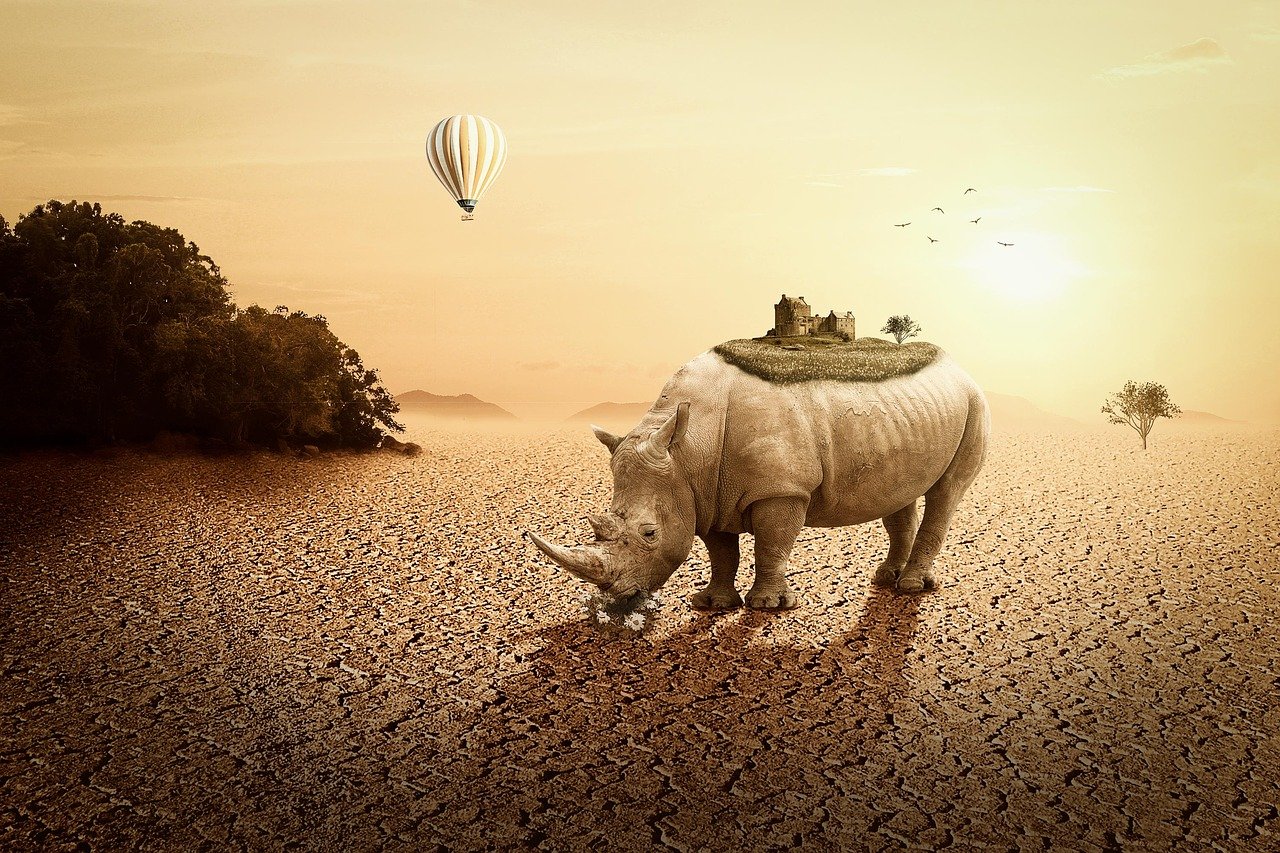 青白江招聘網(wǎng)最新招聘動態(tài)深度解析及崗位信息匯總