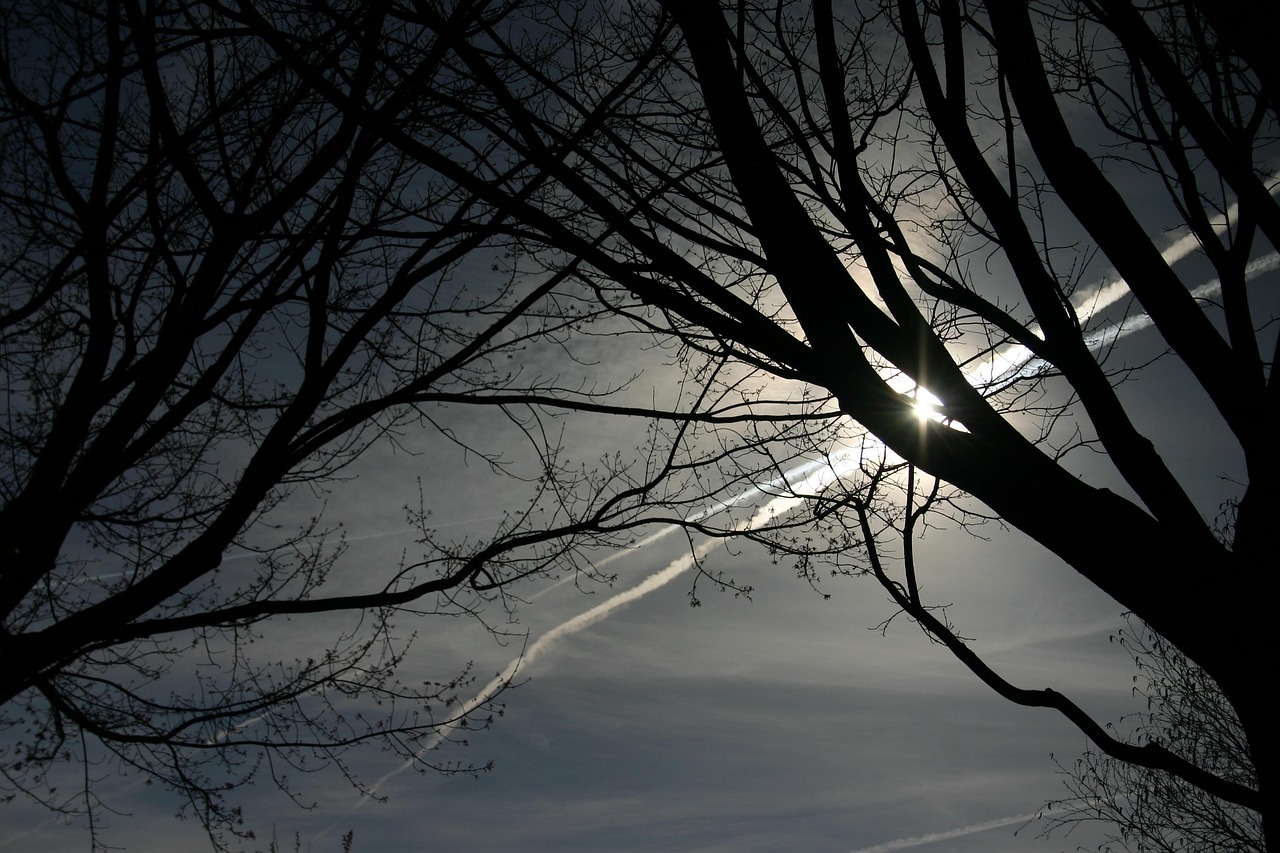 美國選舉最新動態(tài)，從投票到計票的全過程觀察