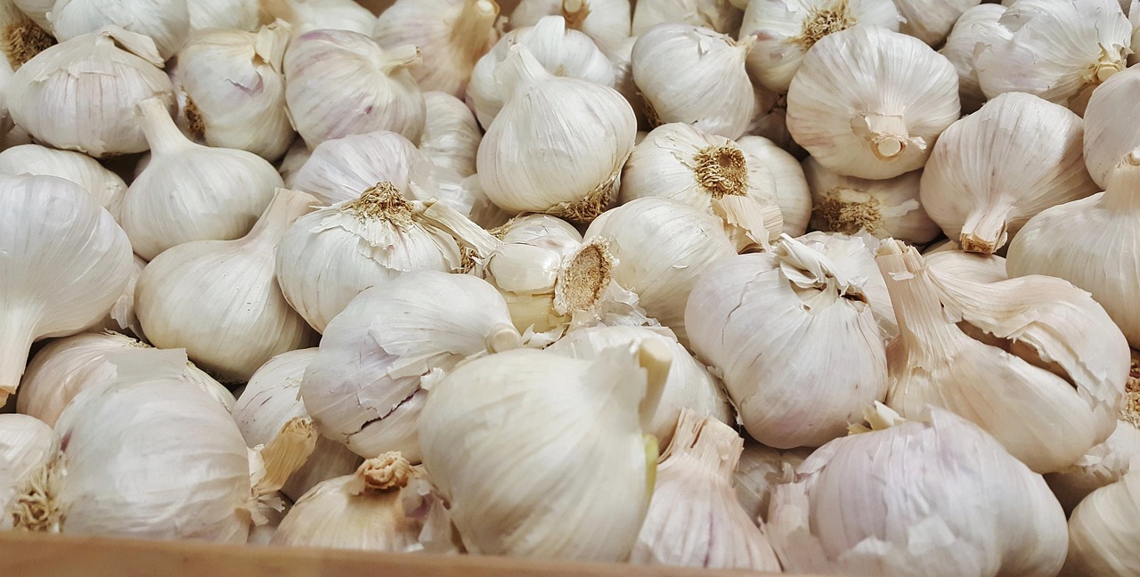 徐州大蒜價格最新行情及分析