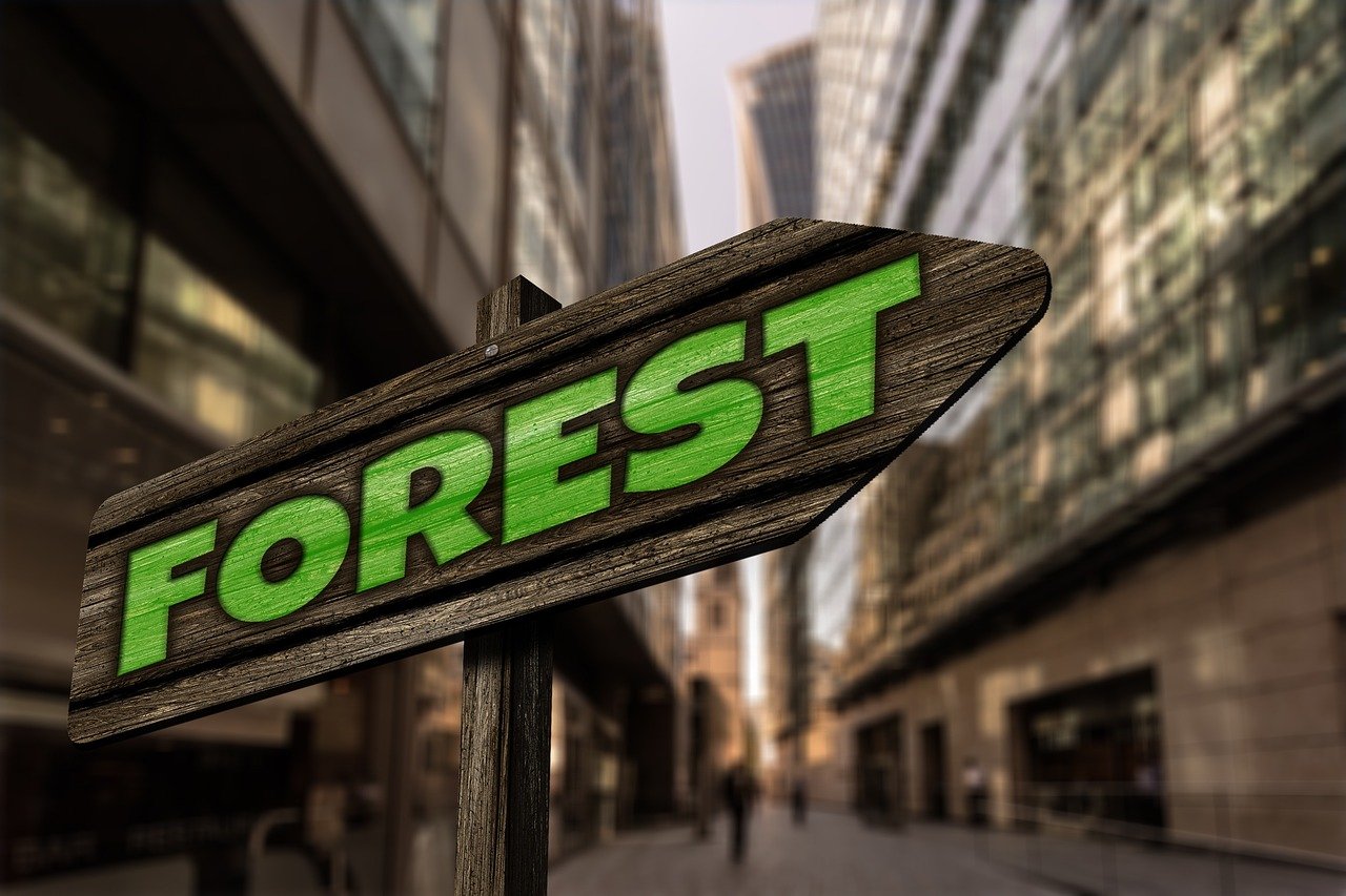 探索最新幸運彩票app下載，開啟您的幸運之旅