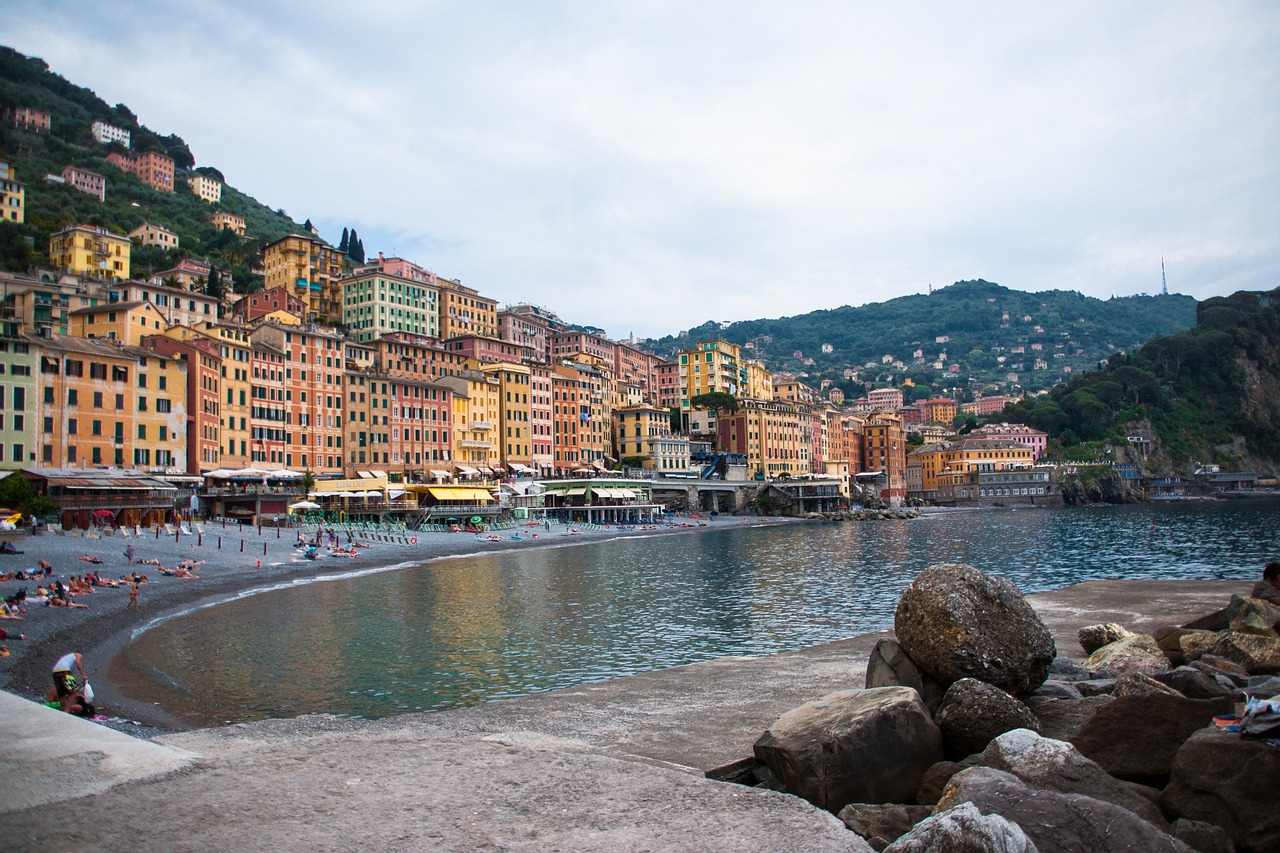 最新谷子價(jià)格及動(dòng)態(tài)分析概覽