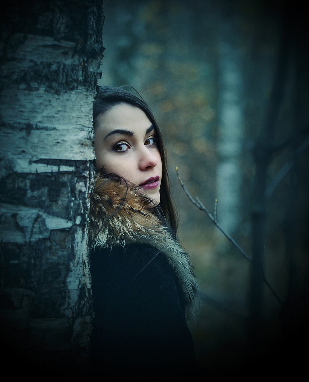 黑暗圣經(jīng)動漫，神秘世界的深度探索與魅力展現(xiàn)