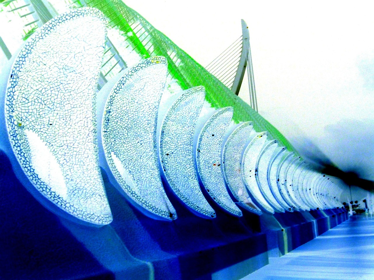 邯鄲市廣平最新動態(tài)，城市發(fā)展脈搏與未來展望