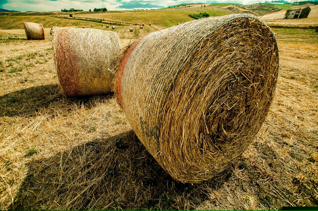 果兒秀場引領(lǐng)時(shí)尚新潮流，舞臺(tái)變革展現(xiàn)最新動(dòng)態(tài)