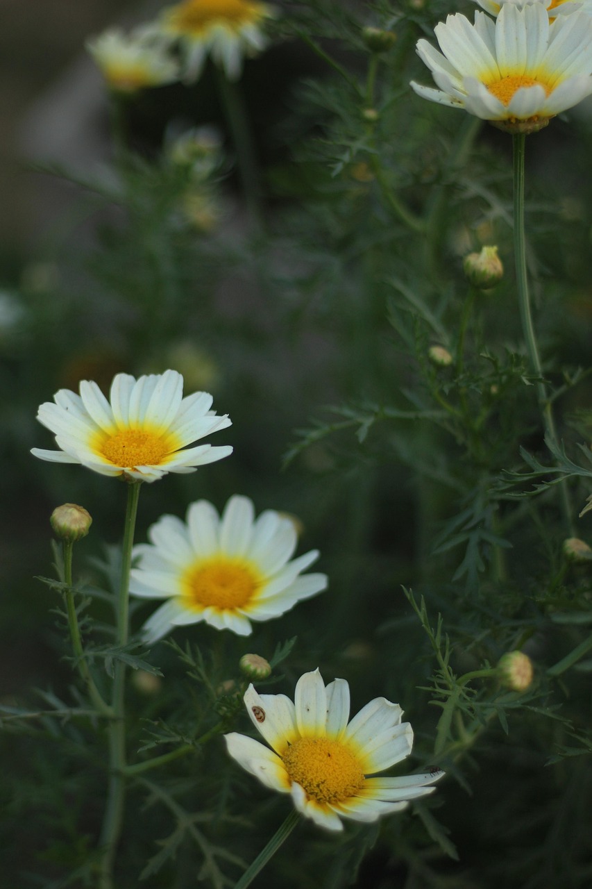 2025年3月 第12頁