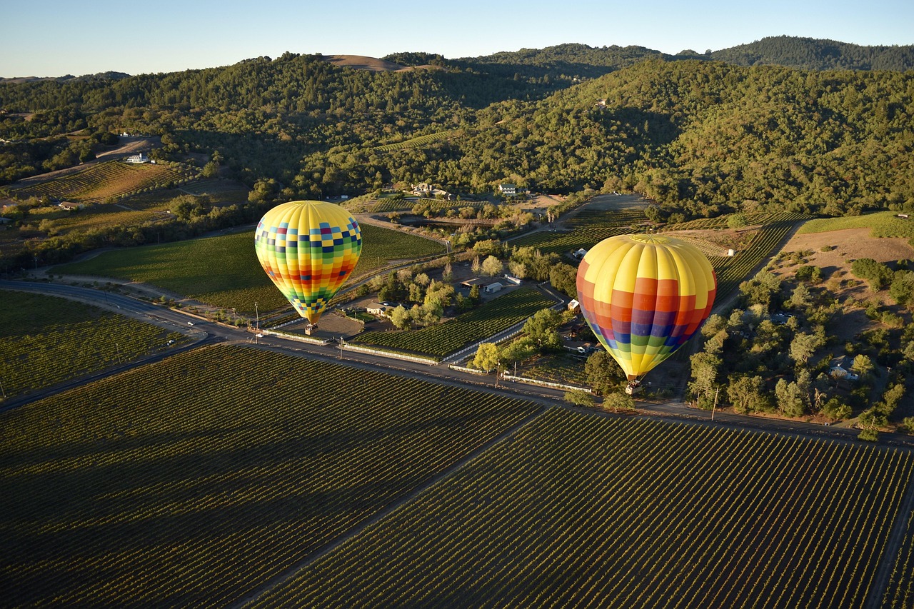 老鴉窩最新位置揭秘，自然秘境新探索之旅
