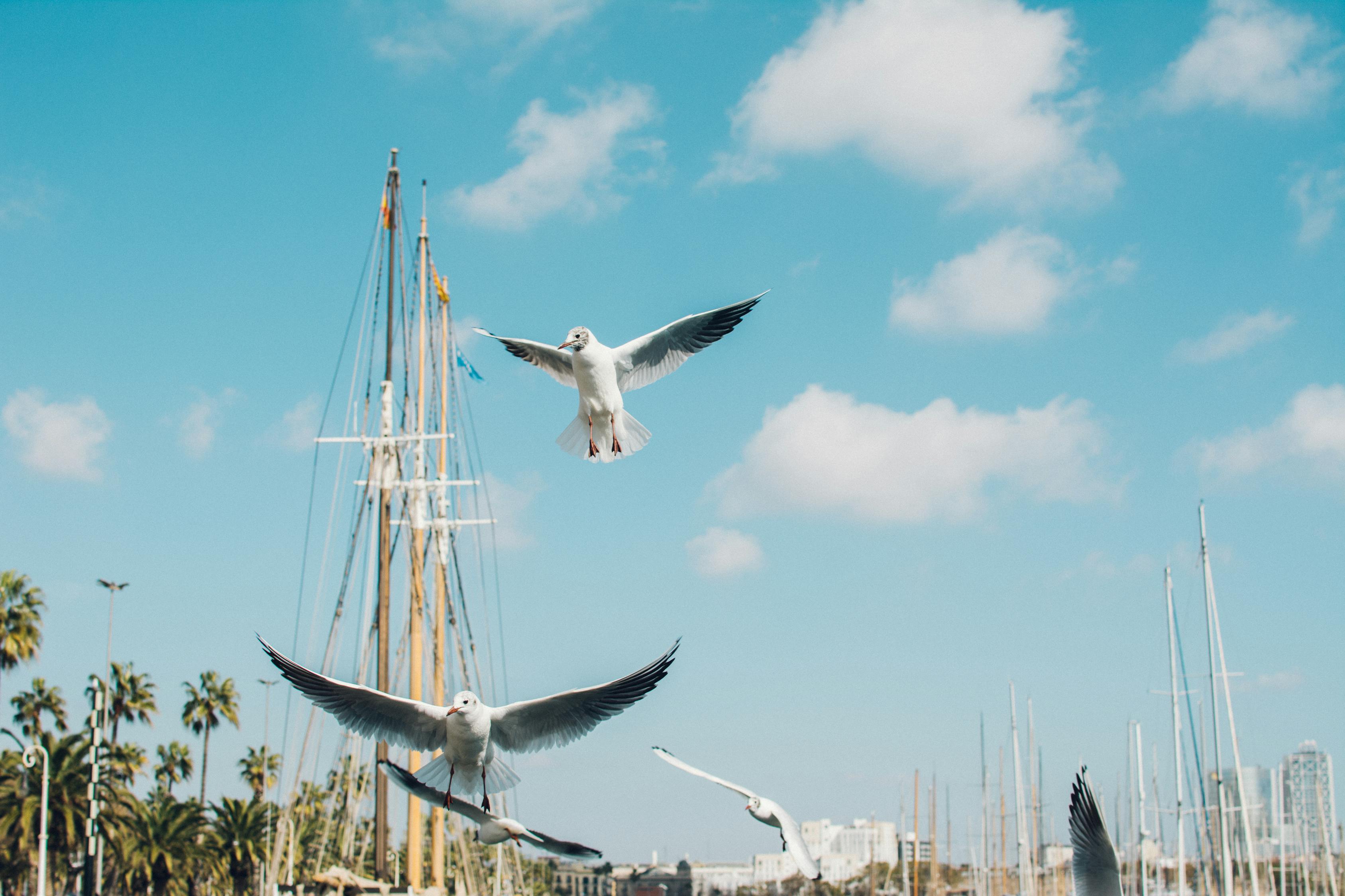 釣魚比賽時(shí)間，一場(chǎng)激動(dòng)人心的角逐盛宴開啟