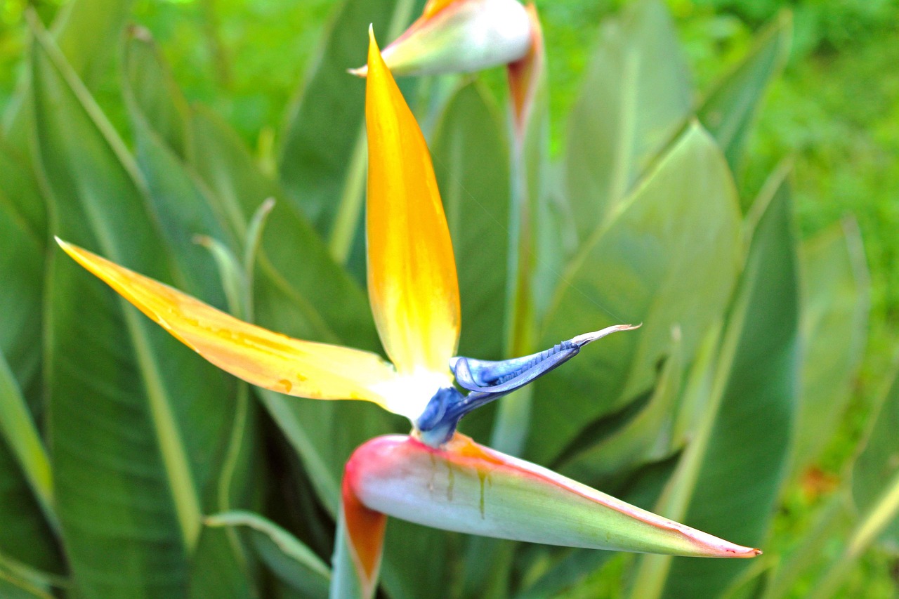 石墨電極最新報(bào)價(jià)與市場(chǎng)動(dòng)態(tài)分析概覽