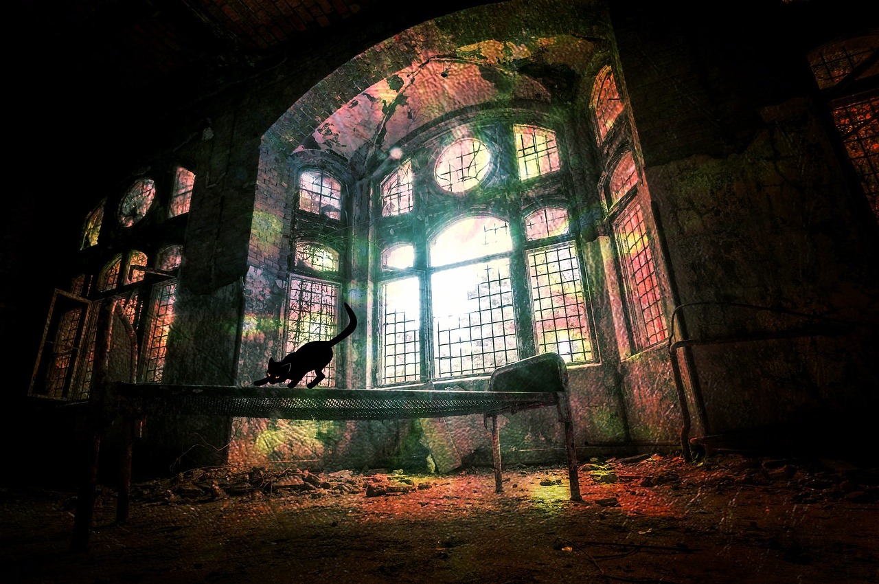 尋龍契約揭開奇幻冒險(xiǎn)世界的神秘面紗