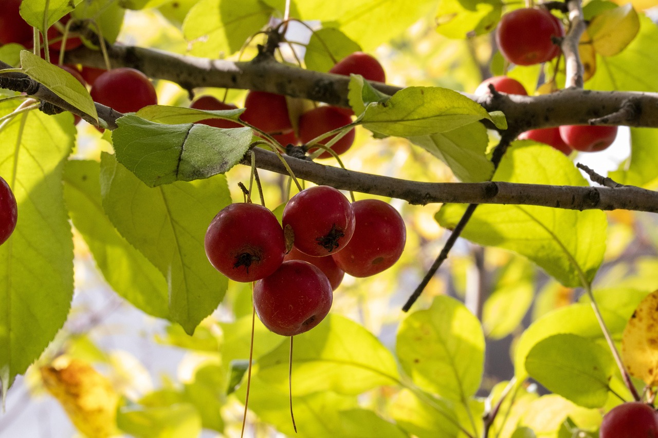 鹽城最新新聞動(dòng)態(tài)更新速遞