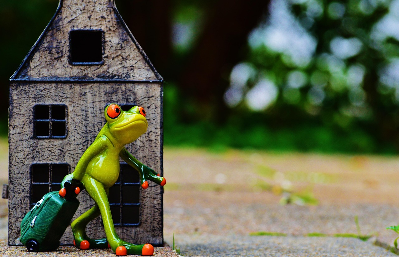 泡泡龍新版本，探索未知的游戲世界之旅