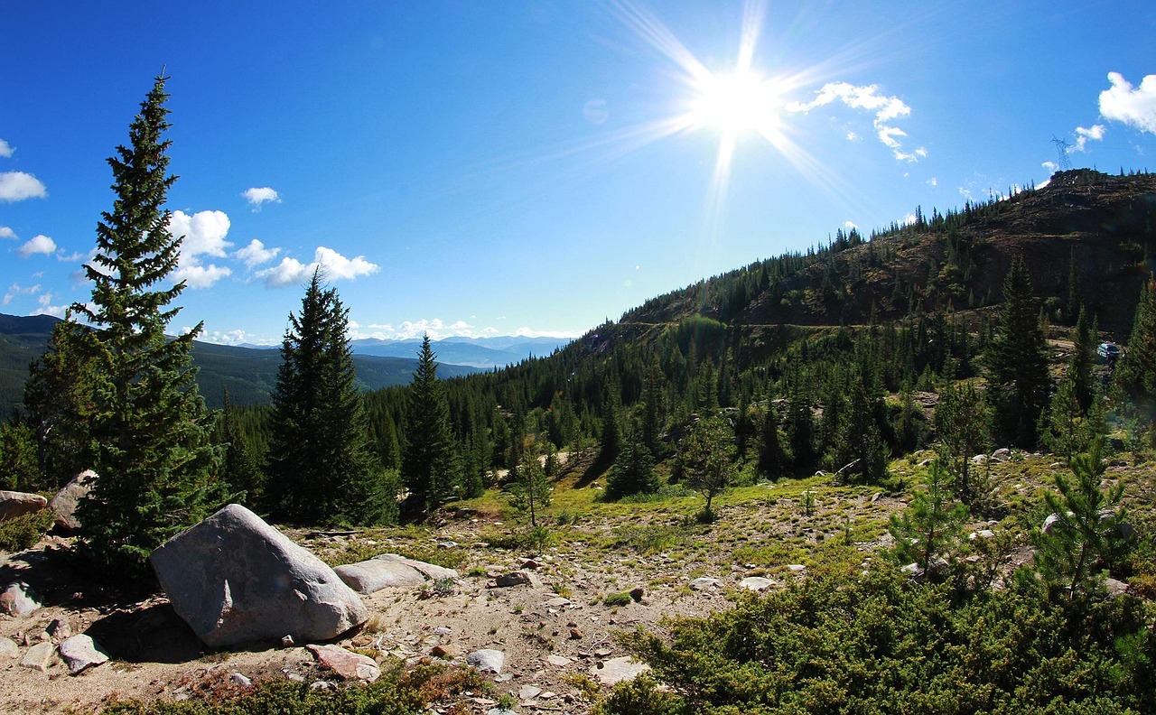 清悠野鶴 第6頁