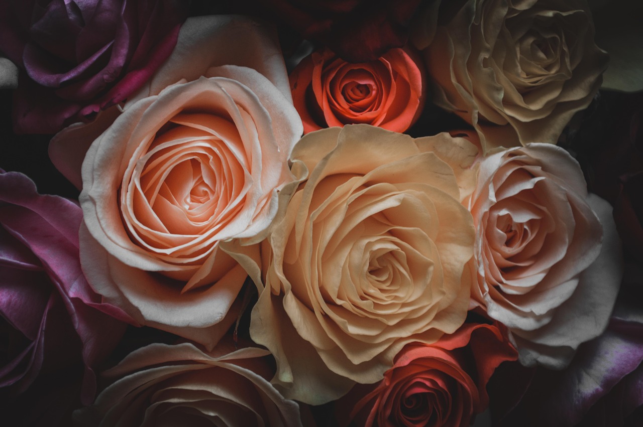 泰勒頭像更新背后的故事與意義探索