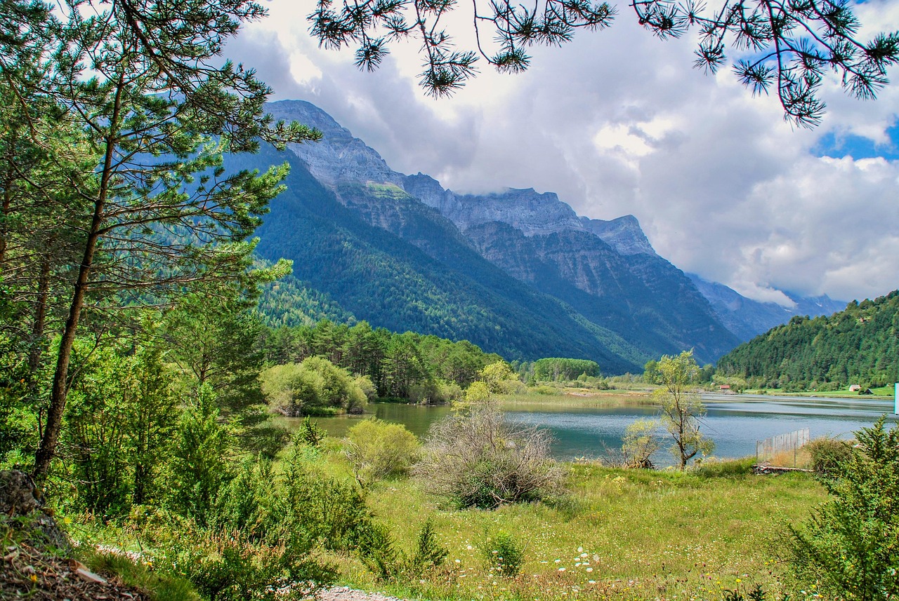 小米20最新科技動(dòng)態(tài)及其影響概覽