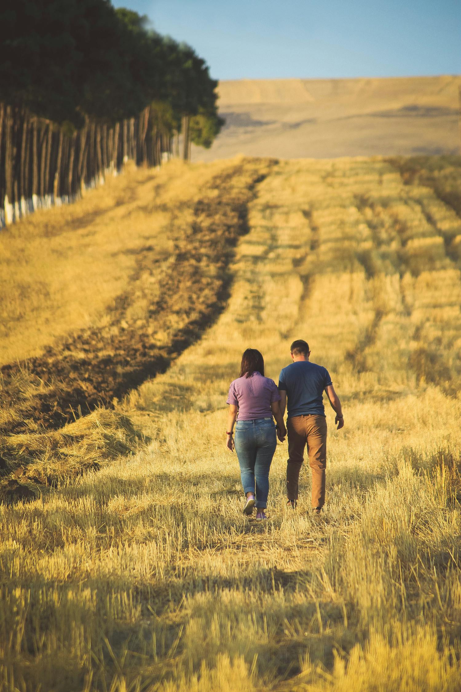 田沖倒插門，電視劇中的故事與人生啟示