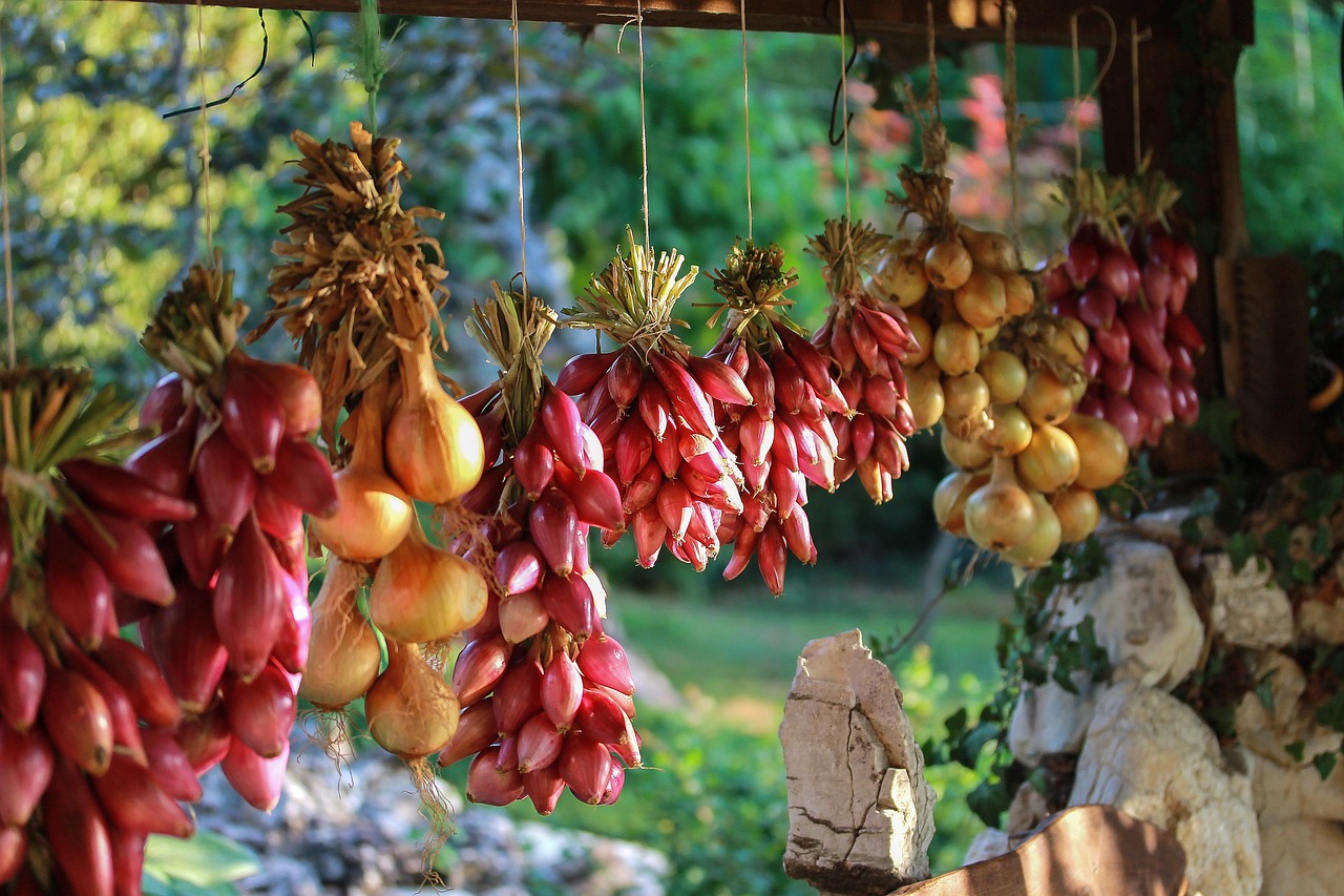 電視劇花開山鄉(xiāng)，鄉(xiāng)土之美與現(xiàn)代魅力的完美融合