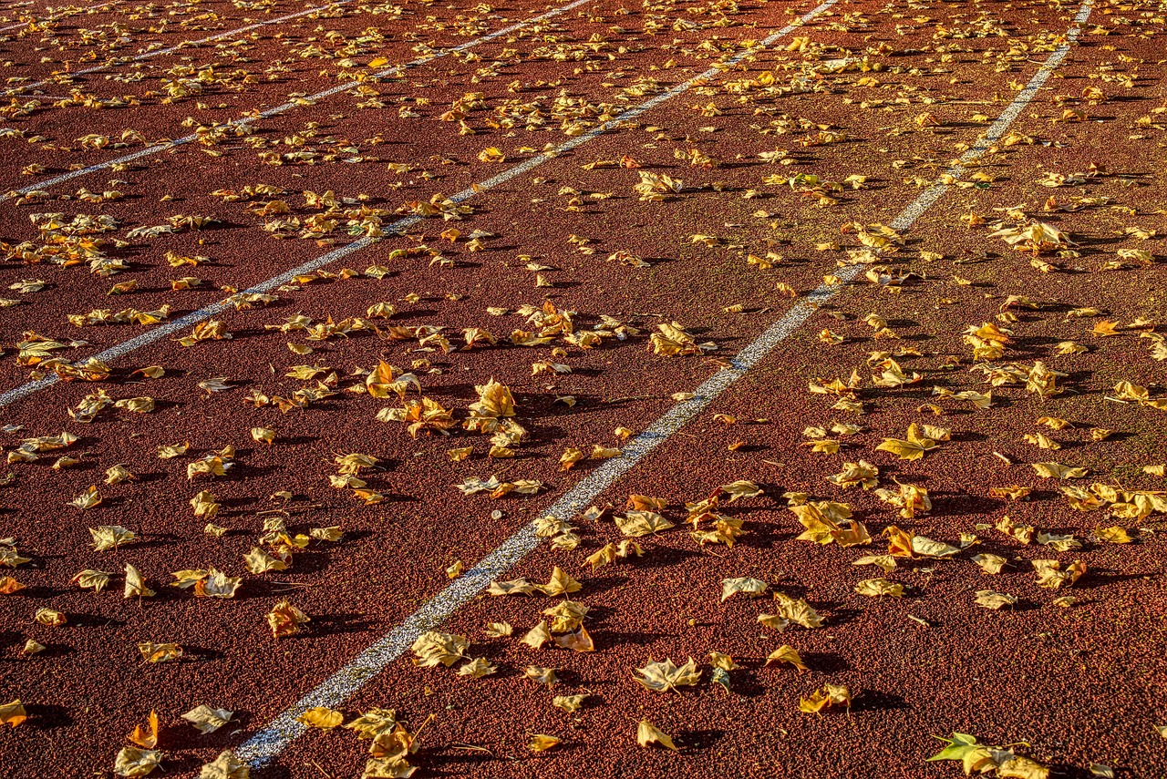 凈水器行業(yè)動態(tài)，創(chuàng)新、綠色與健康引領(lǐng)行業(yè)新風(fēng)潮
