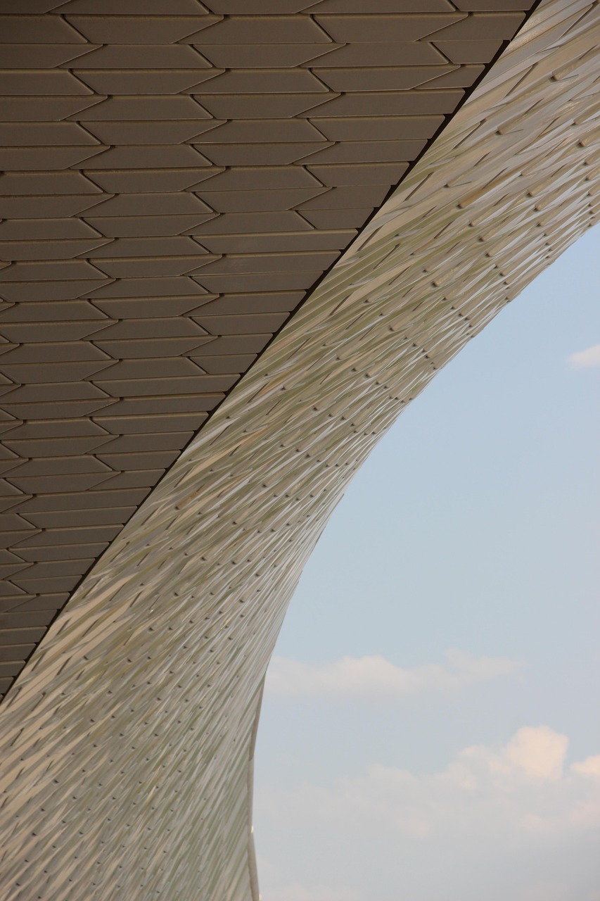 廉江最新動態(tài)2017，城市發(fā)展的步伐與未來展望