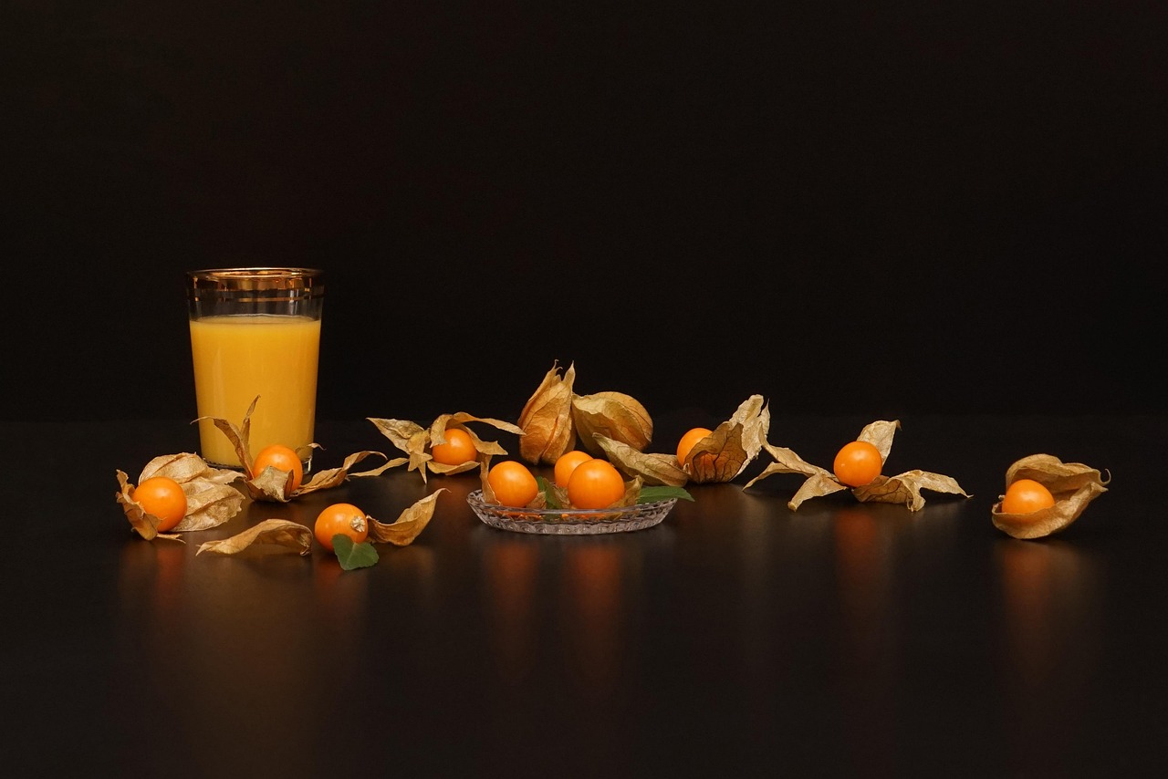 遼陽襄平藍庭最新動態(tài)，未來生活嶄新篇章揭曉