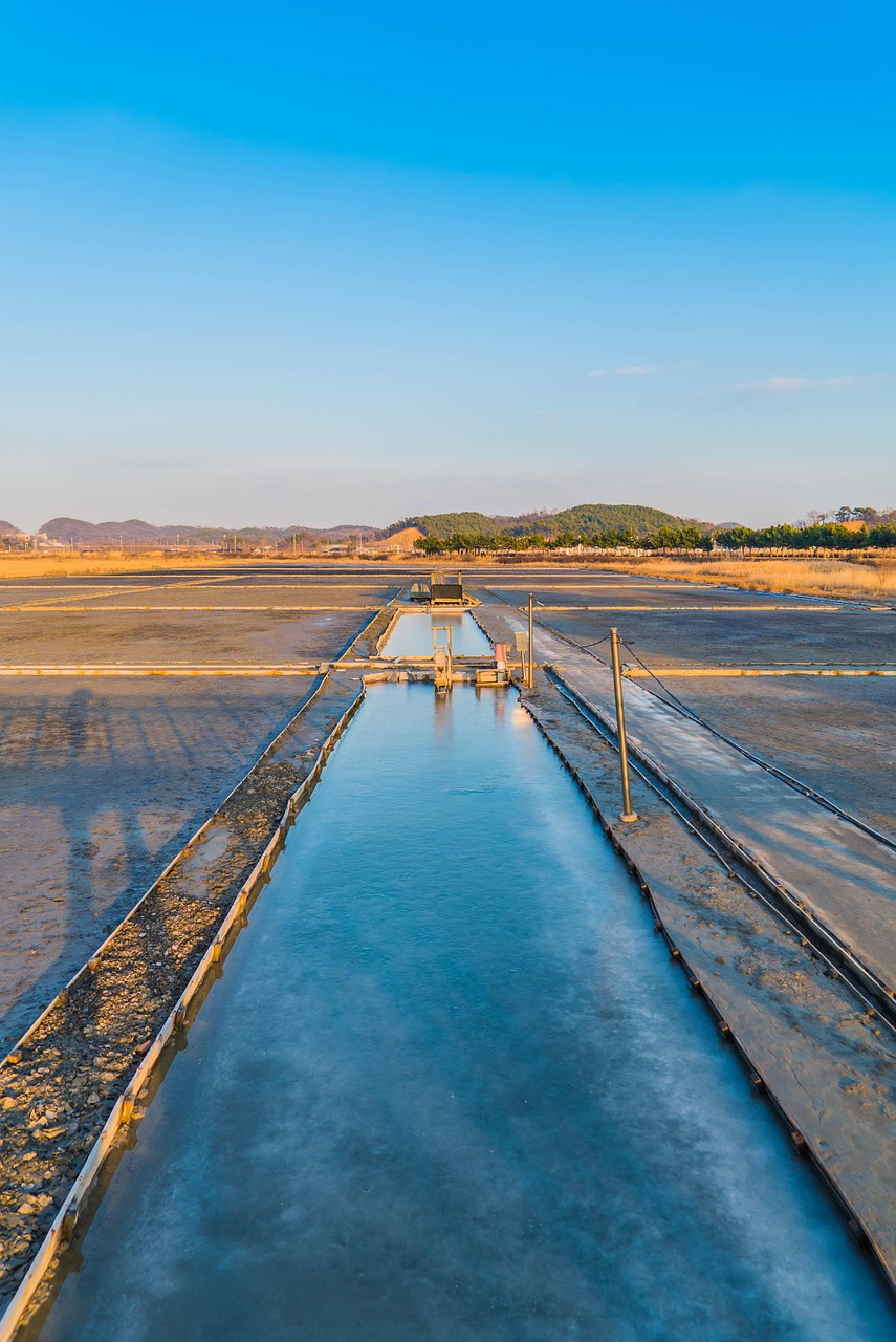 萬(wàn)州龍舟比賽的盛況與傳承之旅