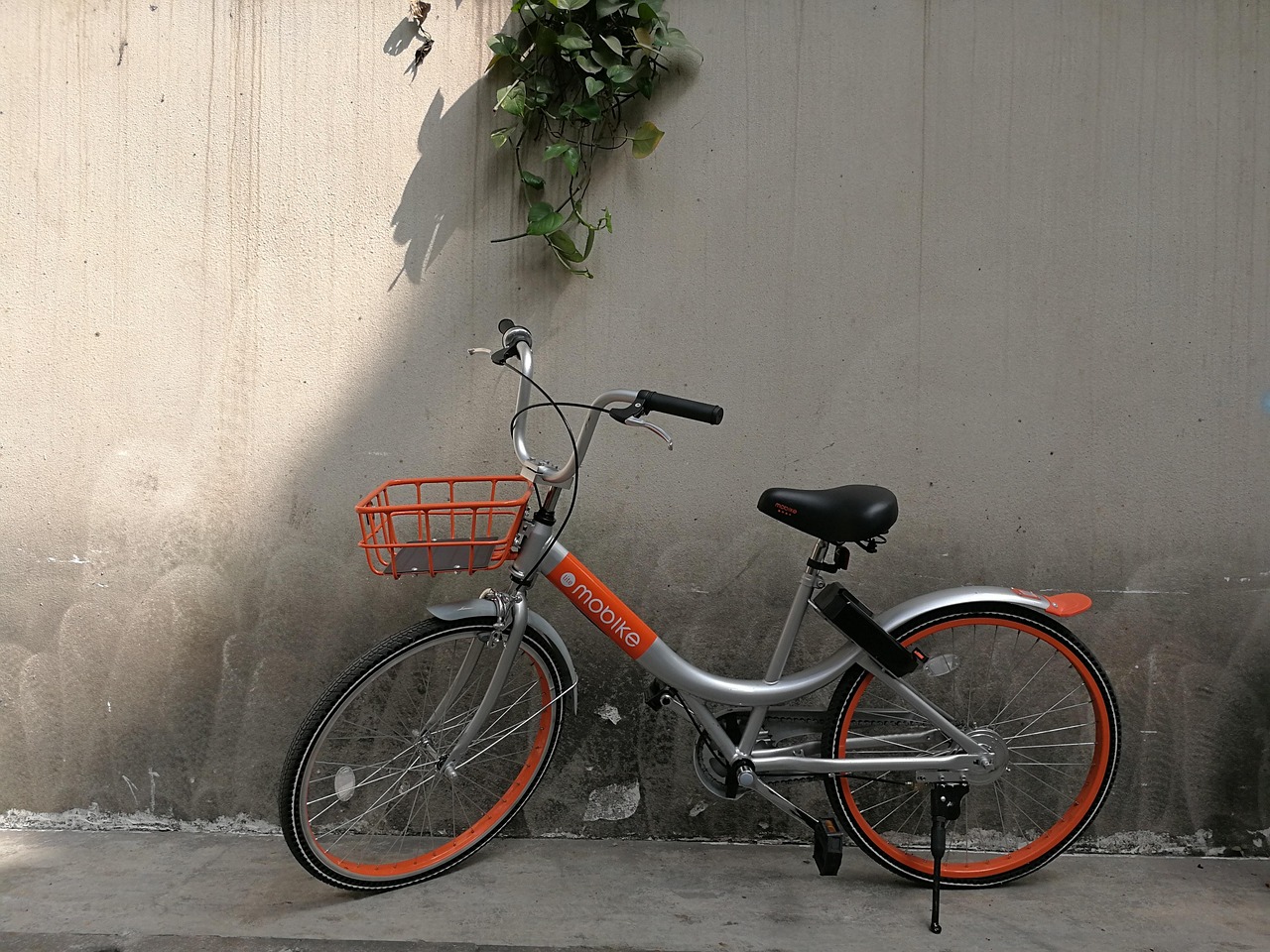 摩拜單車新款車型發(fā)布，革新城市出行，重塑未來(lái)篇章