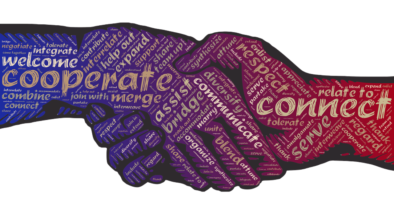 沛縣中央公園最新動(dòng)態(tài)，綠色生態(tài)與人文景觀的完美融合