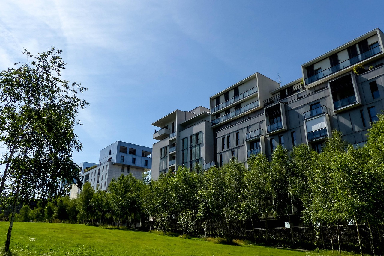 北菜園改造進展，重塑綠色生態(tài)，打造宜居社區(qū)新面貌