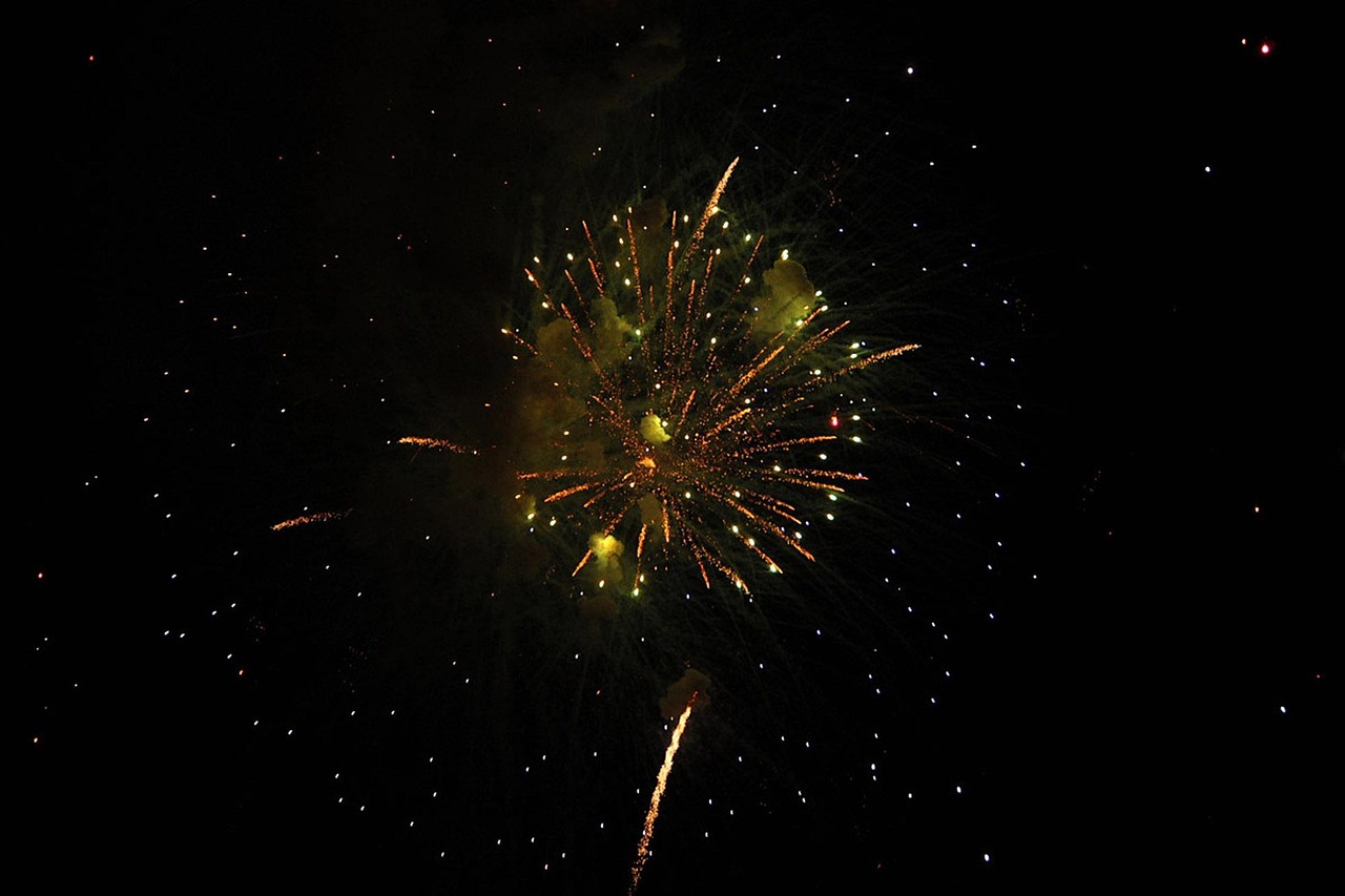 玉林美國城最新動態(tài)，繁榮發(fā)展的藍圖與未來展望展望