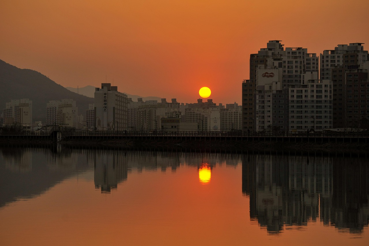 陜西洋縣最新資訊概覽，最新資訊一網(wǎng)打盡