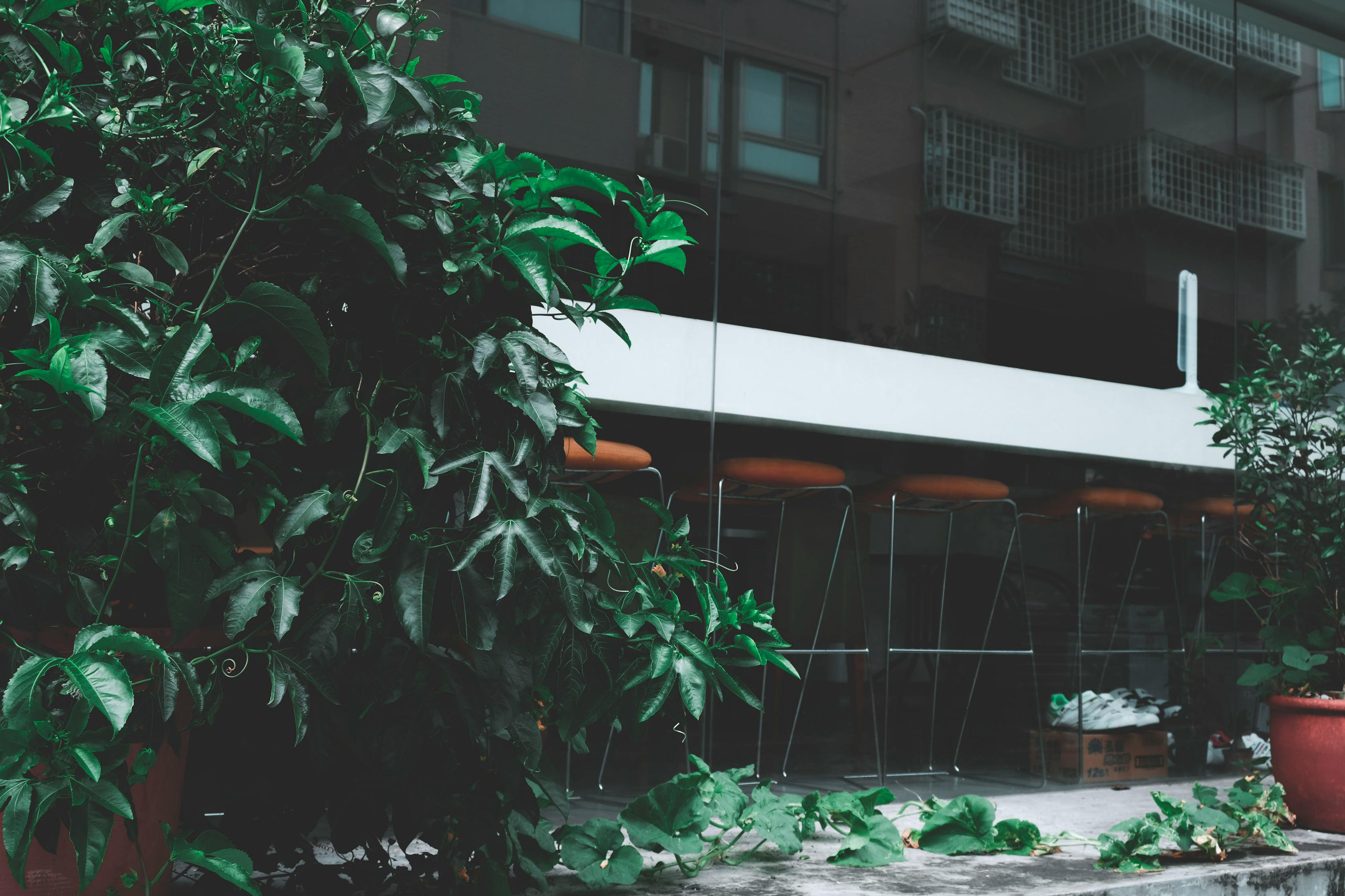 涿州拒馬河規(guī)劃重塑生態(tài)景觀，打造宜居城市新名片