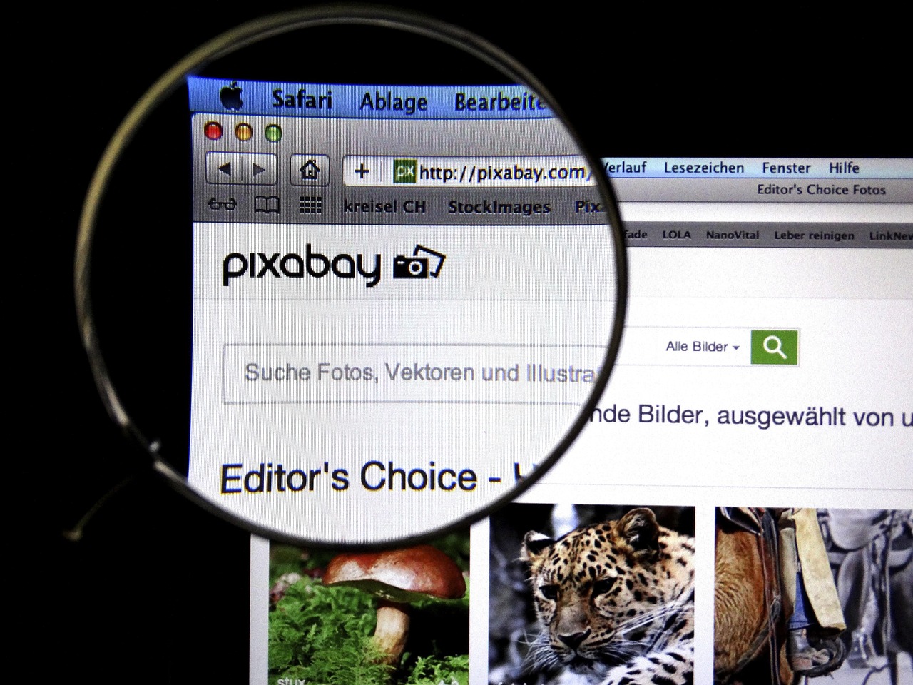 最新活動(dòng)策劃，打造獨(dú)特活動(dòng)體驗(yàn)的核心要素揭秘！