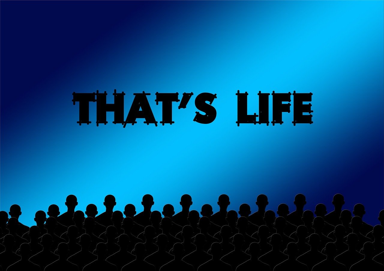 電影活著觀后感，生命之痛引發(fā)的人生深思