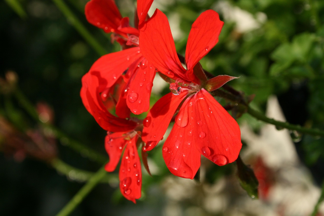 歐尼新動(dòng)態(tài)，引領(lǐng)時(shí)尚潮流的前沿力量