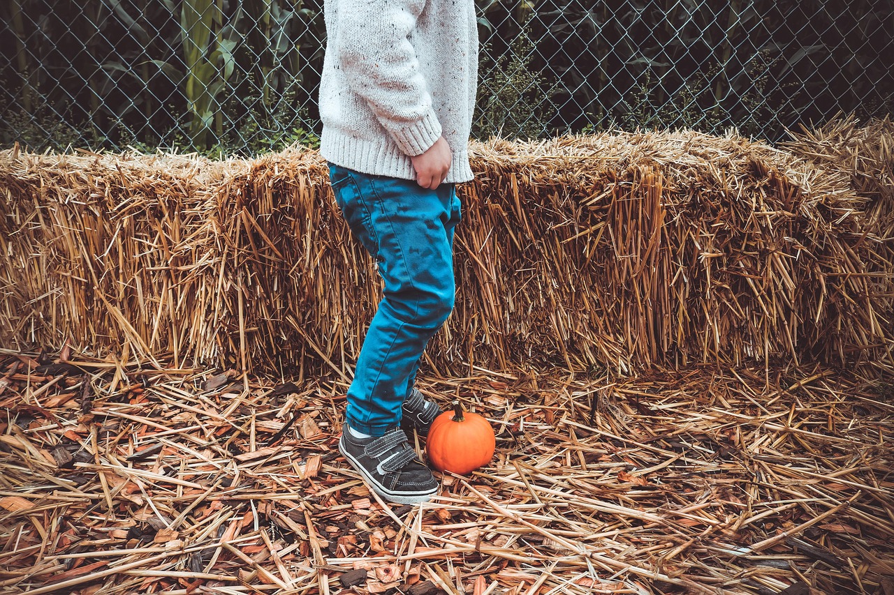 親子畫畫比賽，畫筆下的家庭情感橋梁