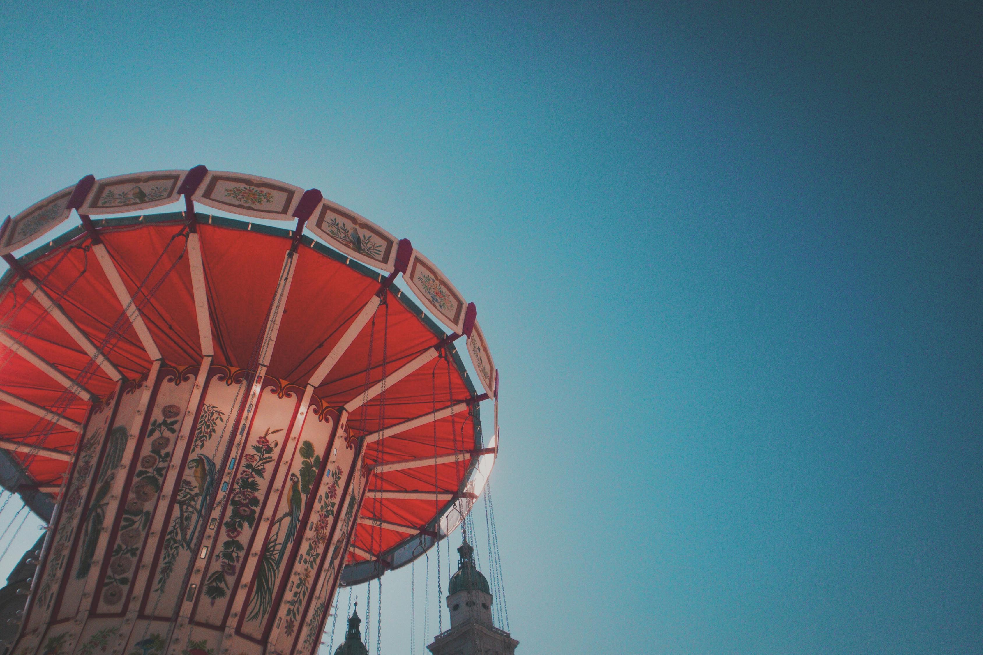 湘蓮價格行情深度分析，最新行情動態(tài)與趨勢預測