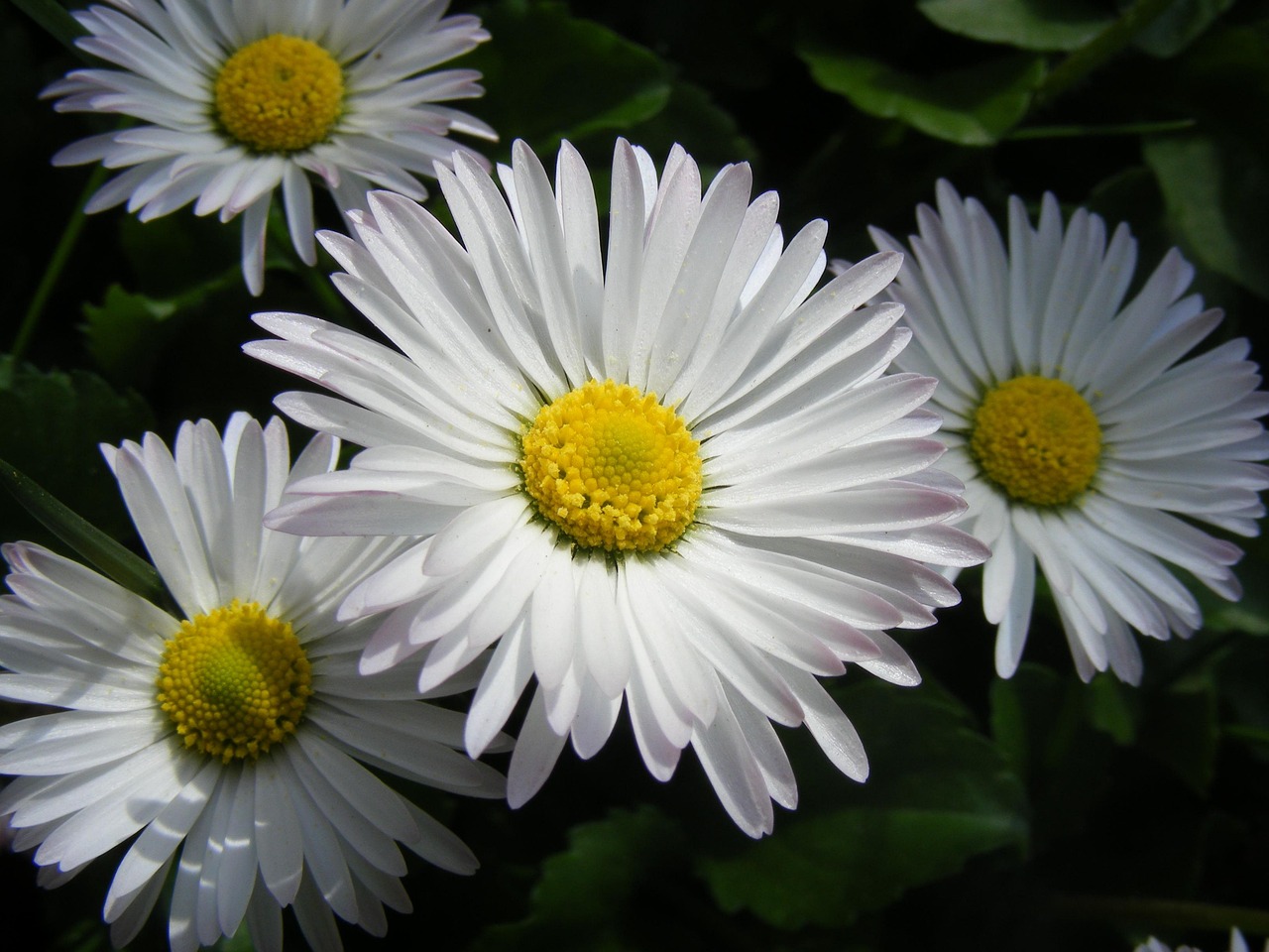 港歐東方花園最新動(dòng)態(tài)，揭開未來居住新篇章，引領(lǐng)生活新趨勢