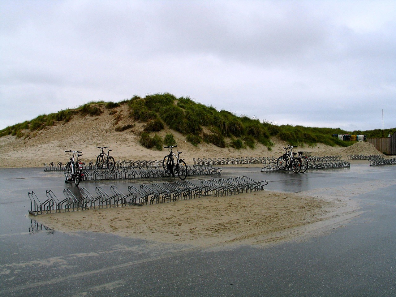 協(xié)警動態(tài)資訊，城市安全的守護(hù)者守護(hù)者協(xié)警資訊動態(tài)