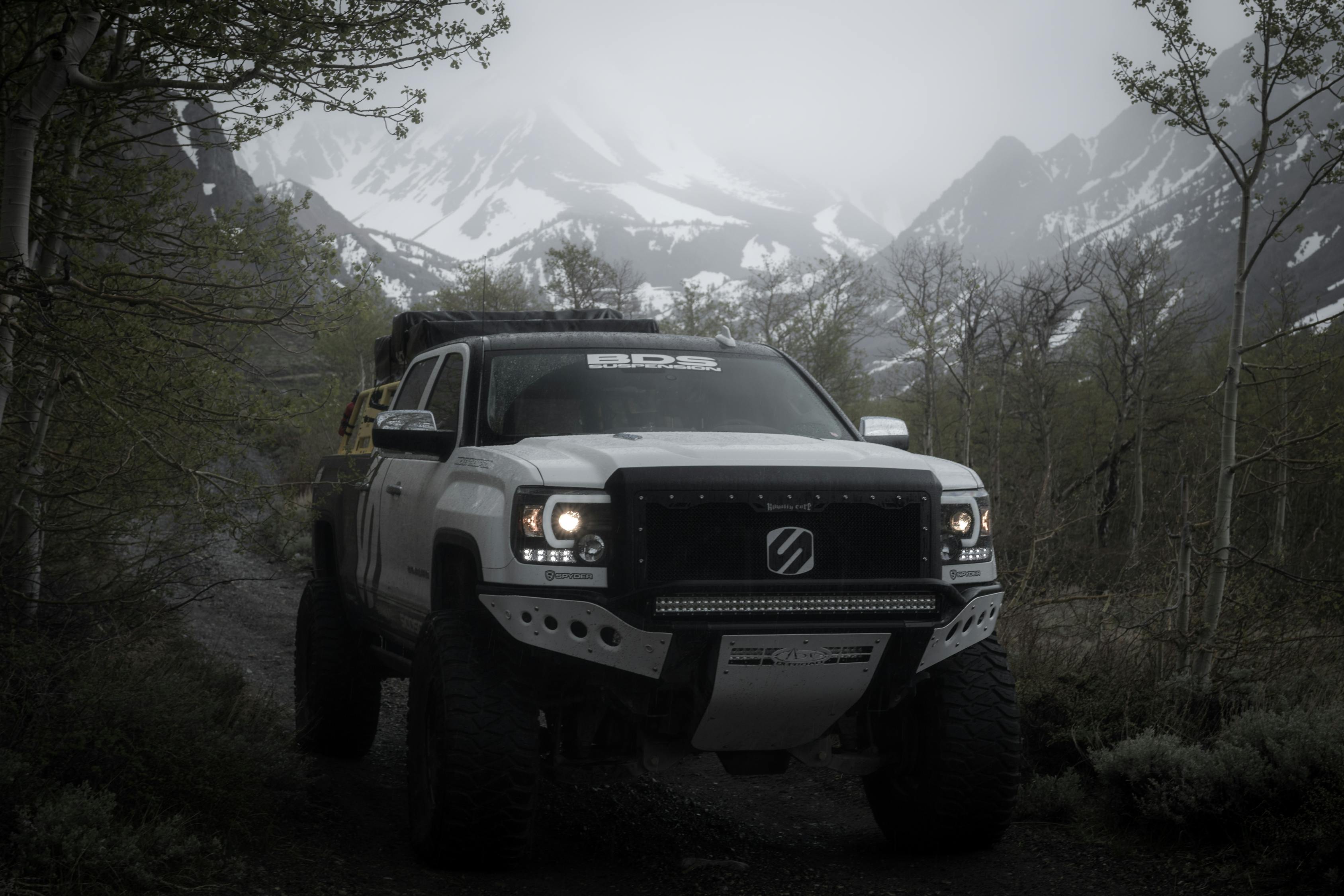 福特?？怂剐驴钴囆?，潮流引領(lǐng)，超越期待