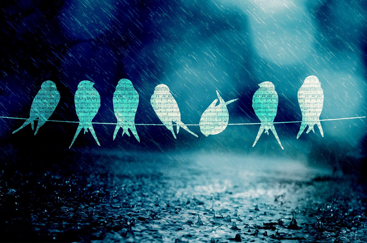 最新歌曲免費(fèi)試聽，音樂(lè)的海洋，心靈港灣暢享曲庫(kù)