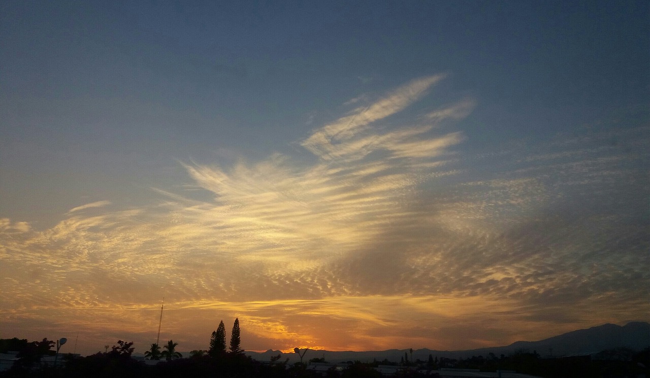 探索未知邊界，最新地平線之旅