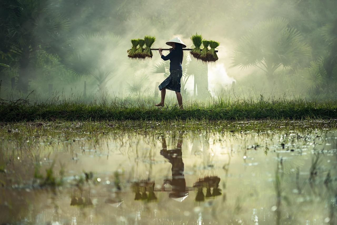 北京射箭比賽，傳統(tǒng)與現(xiàn)代的完美交融之戰(zhàn)