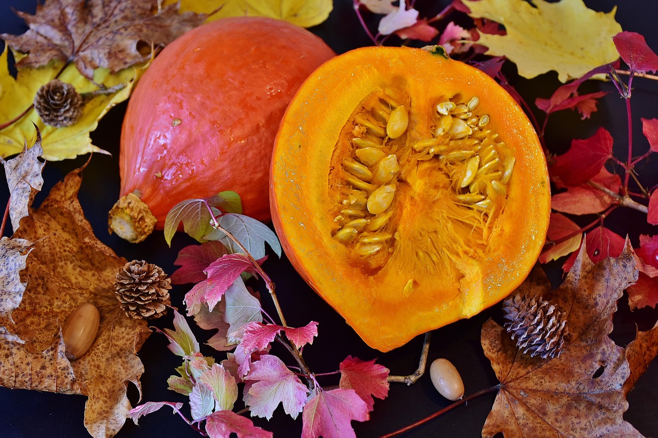 新黃豆上市時(shí)間與季節(jié)舞蹈揭秘，何時(shí)品嘗新鮮黃豆？