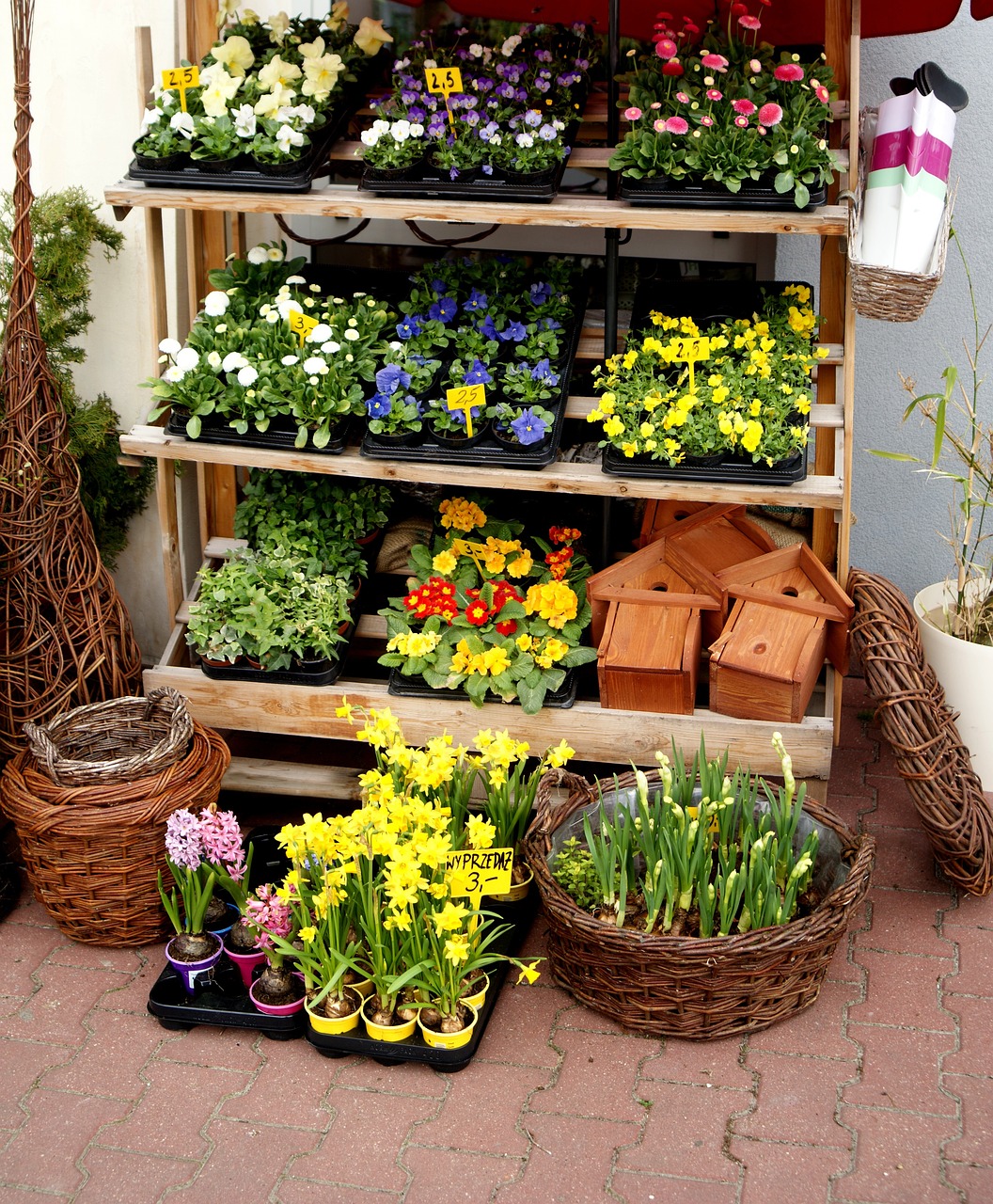 心理沙盤體驗，價格與價值之間的平衡之道