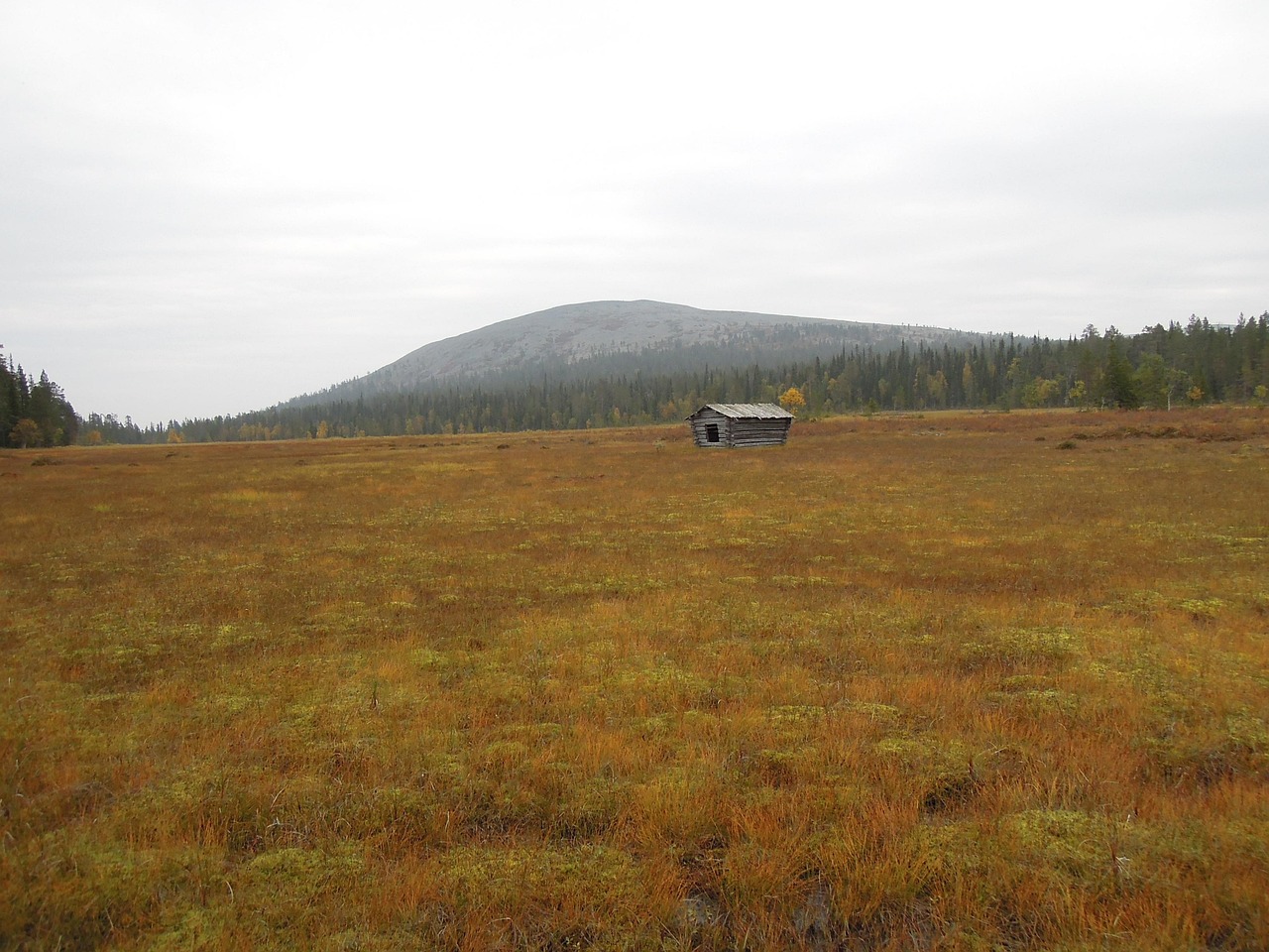 匯博上谷大觀最新報價揭秘，高端住宅市場新動態(tài)分析