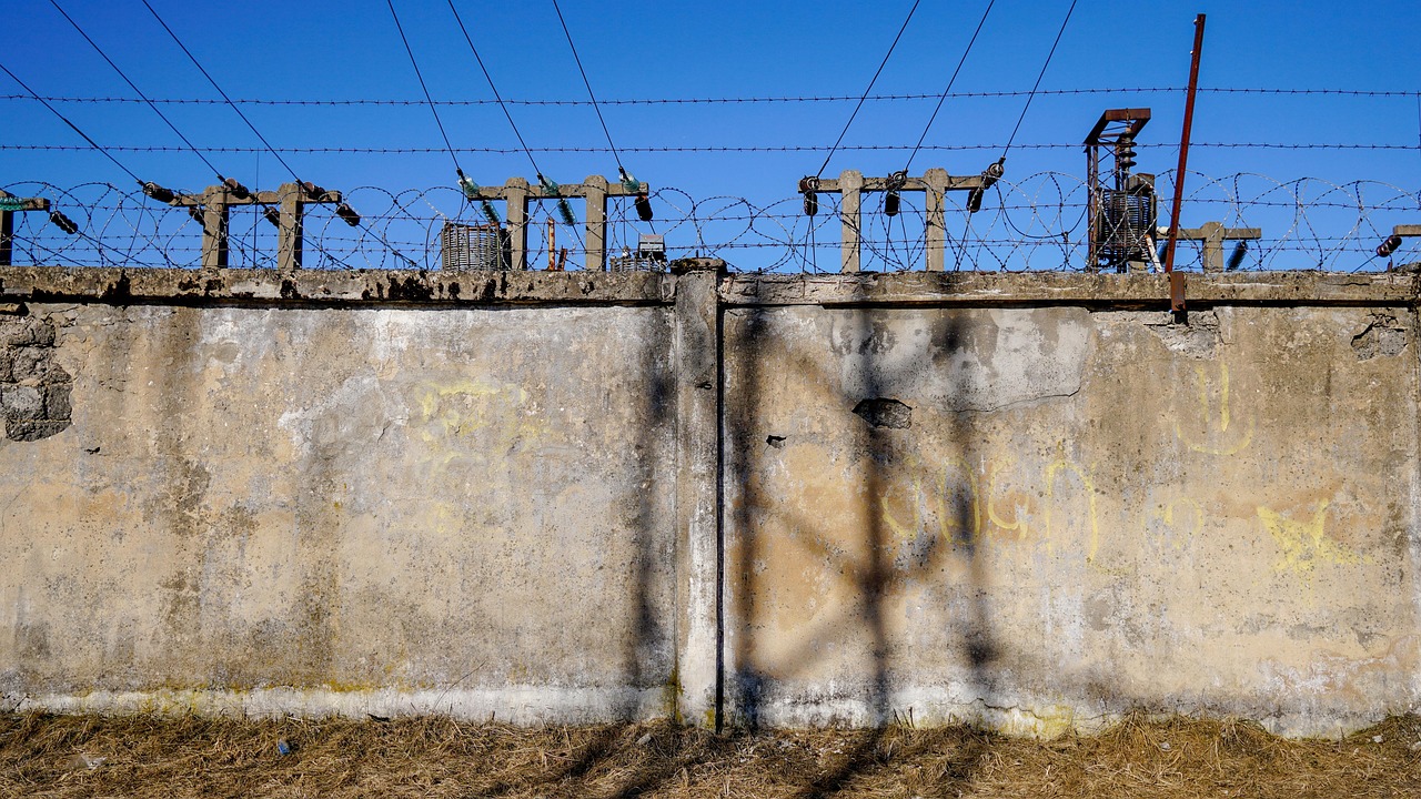 新鋼公司最新動態(tài)，引領行業(yè)變革，助力可持續(xù)發(fā)展之路