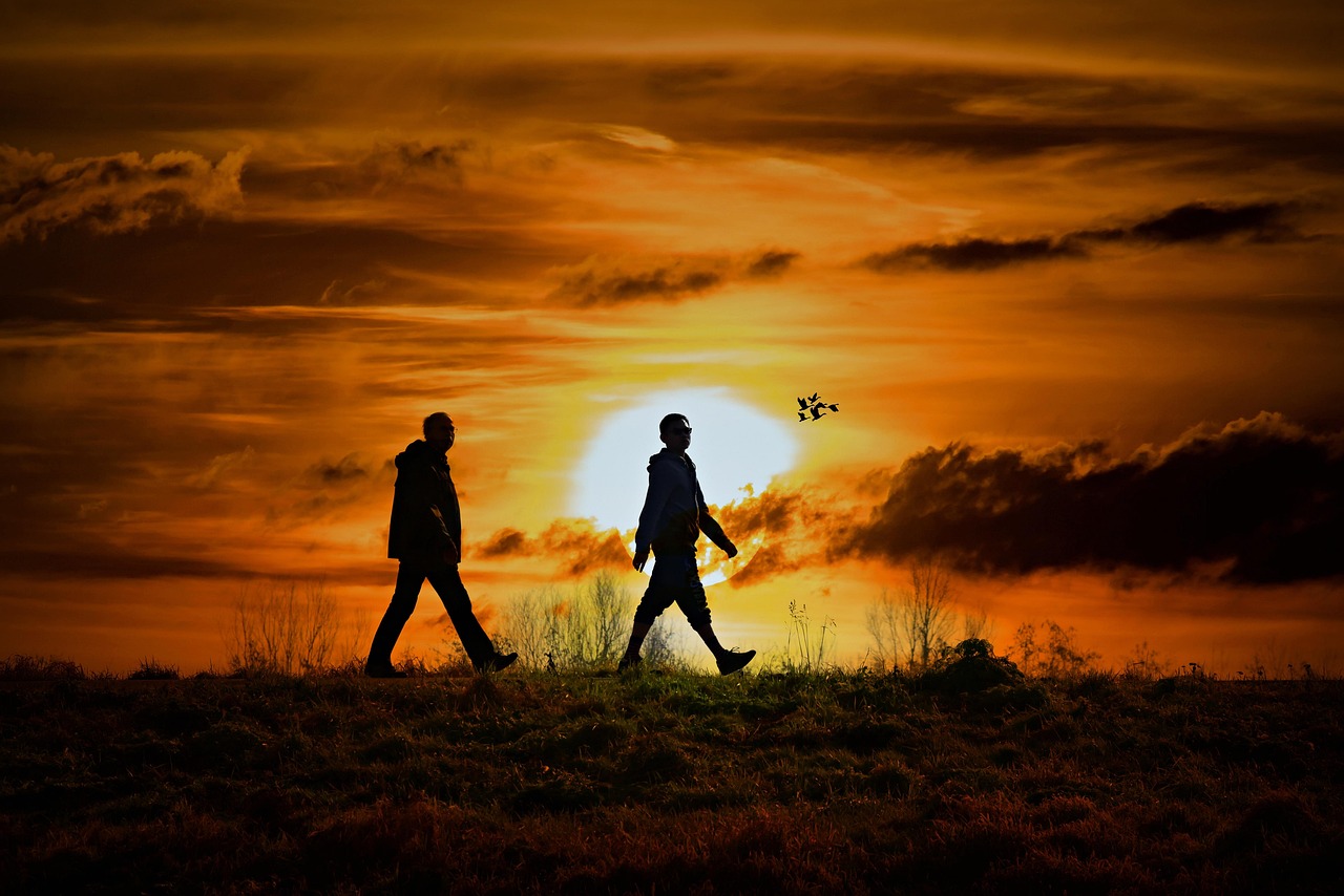 看不見的陌生人，深度探索人性，電影中的心理剖析與情感震撼