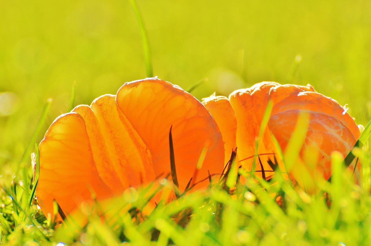 抽水坑資訊深度探索，前沿動態(tài)與實時更新