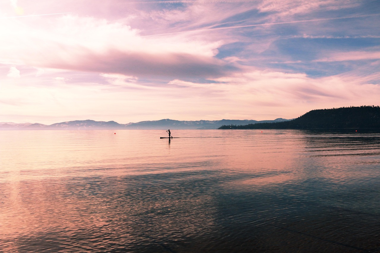 手機攝影大賽，瞬間魅力與創(chuàng)意的捕捉之旅